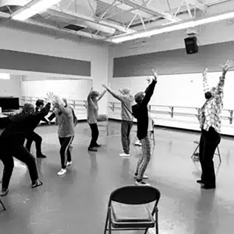 Seniors learning Ballet.