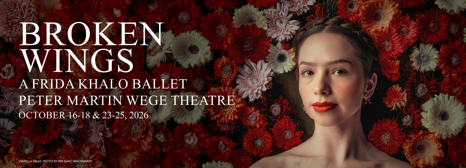 Broken-Wings-Banner