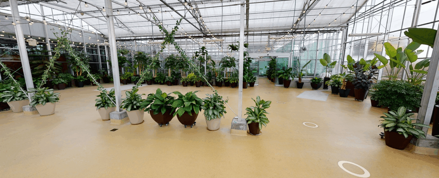 downtown market greenhouse Grand Rapids Ballet