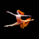grand rapids ballet firebird 2019-20 season dance
